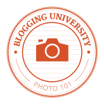 Blogging University